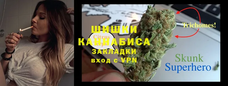 хочу   Новохопёрск  Бошки марихуана White Widow 